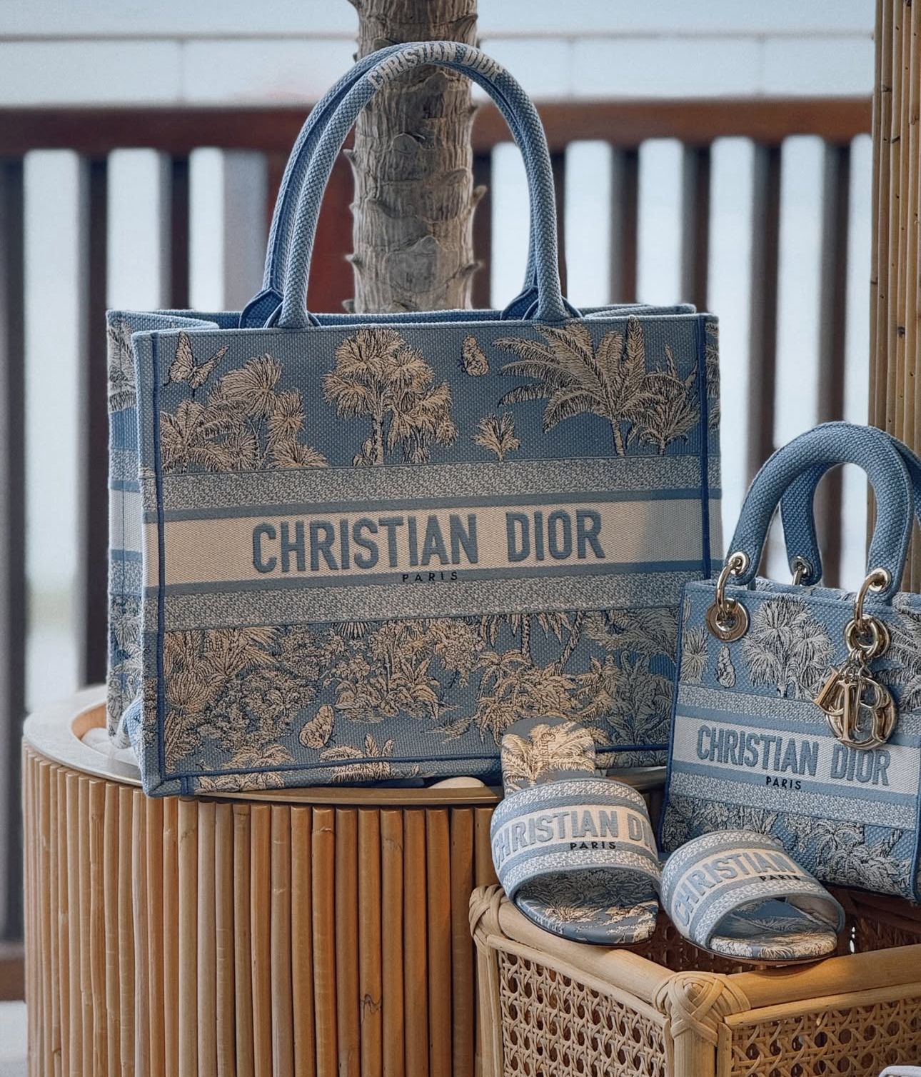 Dior Dway Slides – Toile de Jouy Blue Embroidery